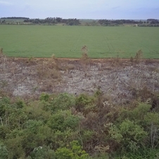 Paraguay: Poisoned Fields