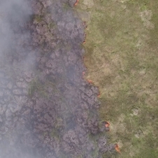 Paraguay: Poisoned Fields